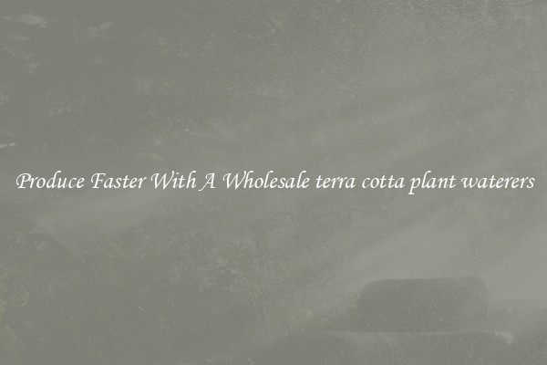 Produce Faster With A Wholesale terra cotta plant waterers