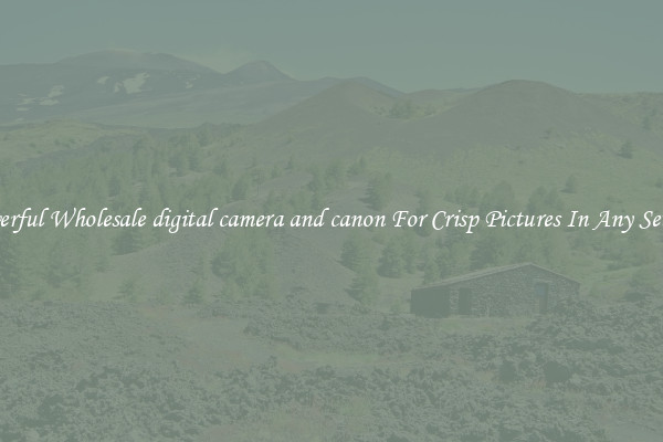 Powerful Wholesale digital camera and canon For Crisp Pictures In Any Setting
