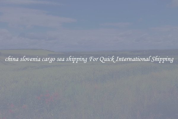 china slovenia cargo sea shipping For Quick International Shipping