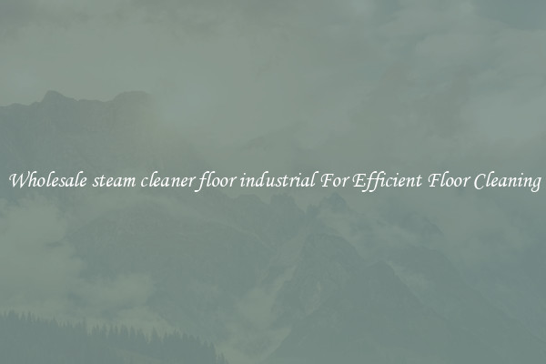 Wholesale steam cleaner floor industrial For Efficient Floor Cleaning