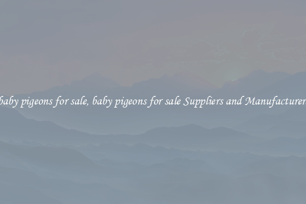 baby pigeons for sale, baby pigeons for sale Suppliers and Manufacturers