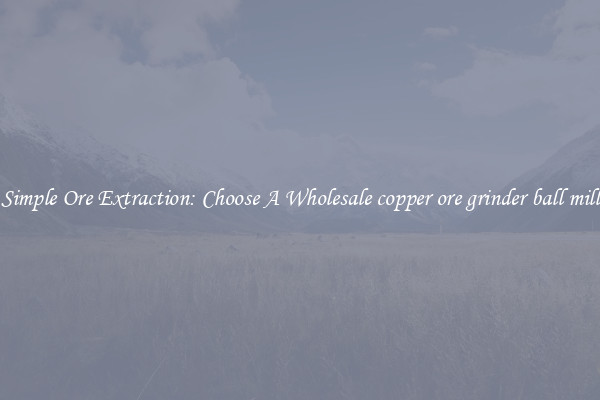 Simple Ore Extraction: Choose A Wholesale copper ore grinder ball mill