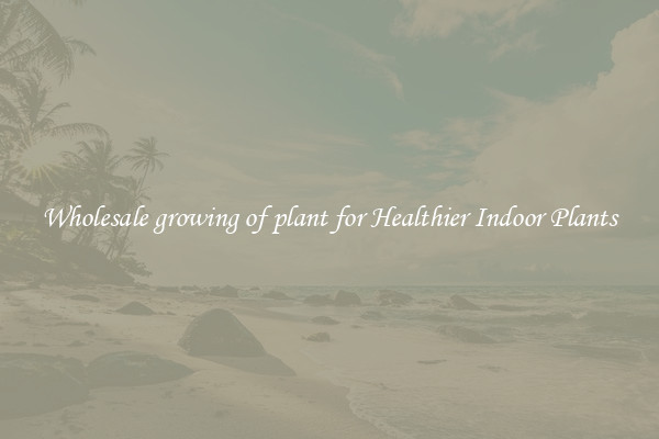 Wholesale growing of plant for Healthier Indoor Plants
