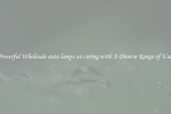 Powerful Wholesale auto lamps uv curing with A Diverse Range of Uses