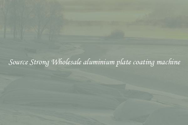 Source Strong Wholesale aluminium plate coating machine