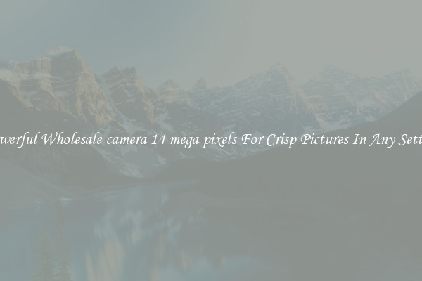 Powerful Wholesale camera 14 mega pixels For Crisp Pictures In Any Setting