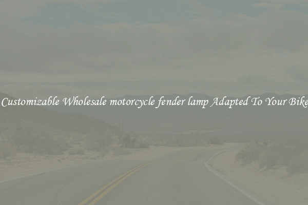 Customizable Wholesale motorcycle fender lamp Adapted To Your Bike