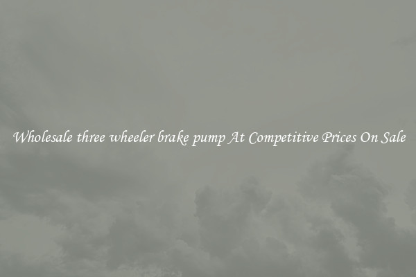 Wholesale three wheeler brake pump At Competitive Prices On Sale