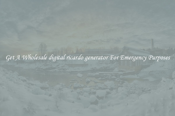 Get A Wholesale digital ricardo generator For Emergency Purposes