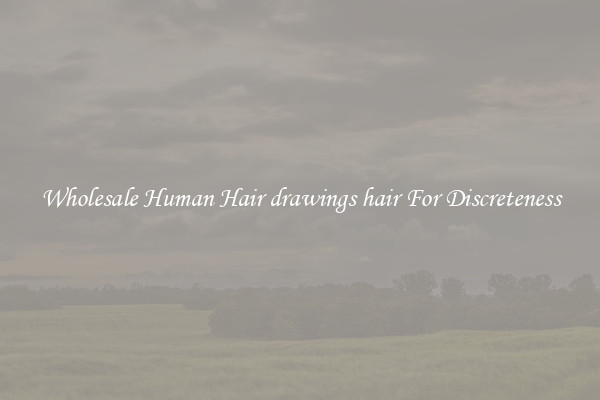 Wholesale Human Hair drawings hair For Discreteness