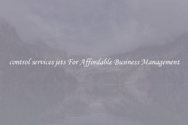 control services jets For Affordable Business Management