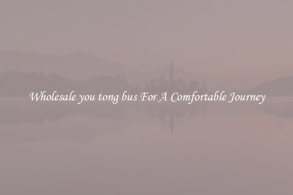 Wholesale you tong bus For A Comfortable Journey