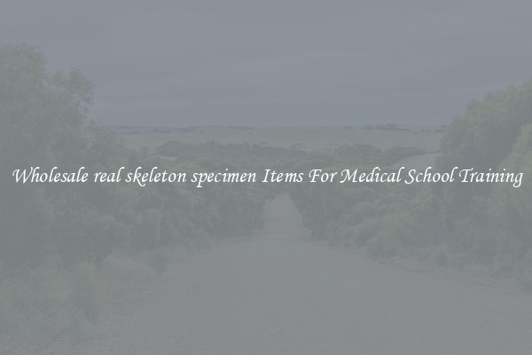 Wholesale real skeleton specimen Items For Medical School Training