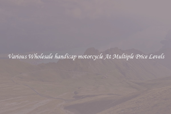 Various Wholesale handicap motorcycle At Multiple Price Levels