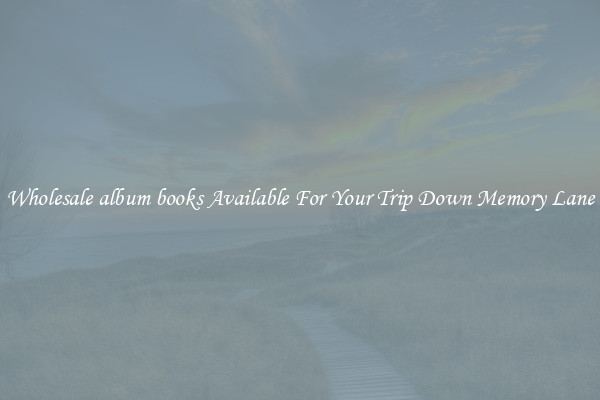Wholesale album books Available For Your Trip Down Memory Lane