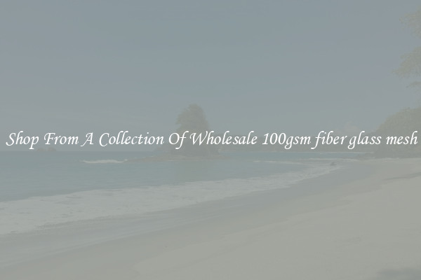 Shop From A Collection Of Wholesale 100gsm fiber glass mesh